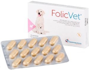 977445903-FOLICVET 15CPR