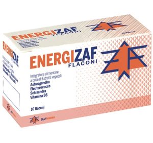 977824313-ENERGIZAF 10FL