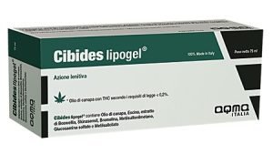 979082221-CIBIDES LIPOGEL 75ML