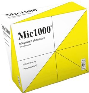 985808258-MIC 1000 20BUST