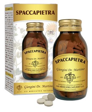 990149837-SPACCAPIETRA 180PAST