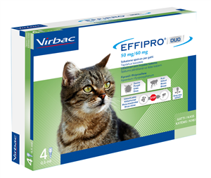 104836022-EFFIPRO DUO*SPOTON 4PIP GATTI