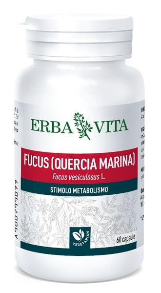 900799077-FUCUS 60CPS 500MG EBV