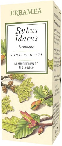 922373055-RUBUS IDAEUS LAMPONE 50ML