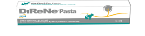 927295790-DIRENE PASTA 15ML