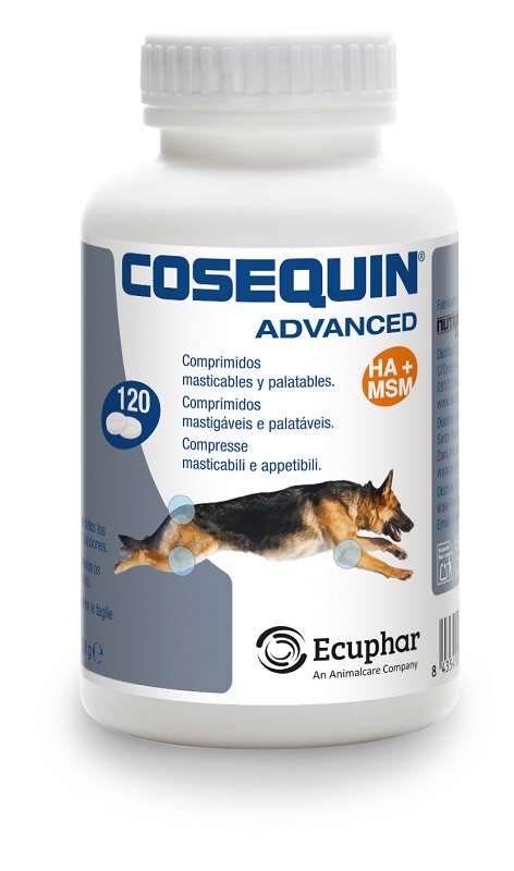 951090315-COSEQUIN ADVANCED CANE 120CPR