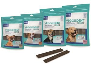 982738674-VEGGIEDENT FR3SH XS 15STICK