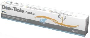 988783066-DIA TAB PASTA 15ML