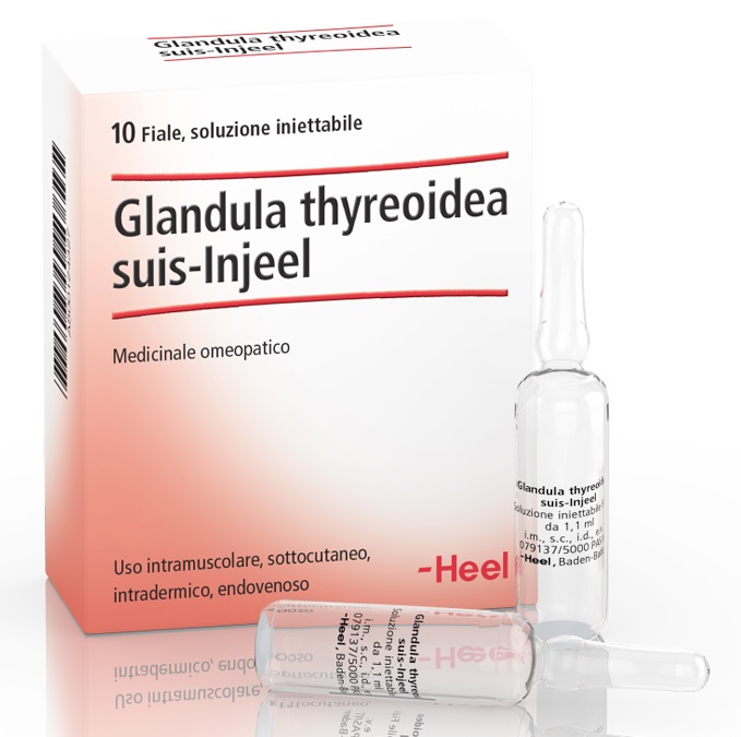 800124327-GLANDULA THYR SUIS INJEEL HEEL