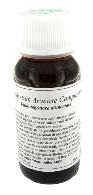 910270077-41N EQUISETUM ARVENSE COMP LVS