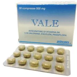939122786-VALE INTEG 30CPR