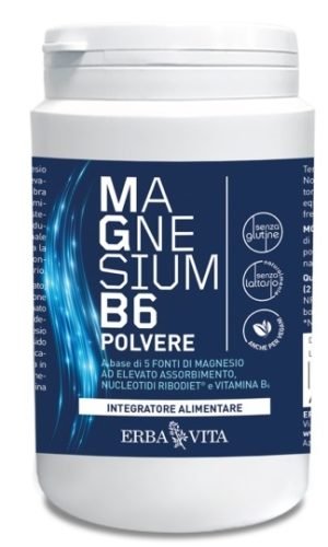 979323019-MAGNESIUM B6 POLV 200G EBV
