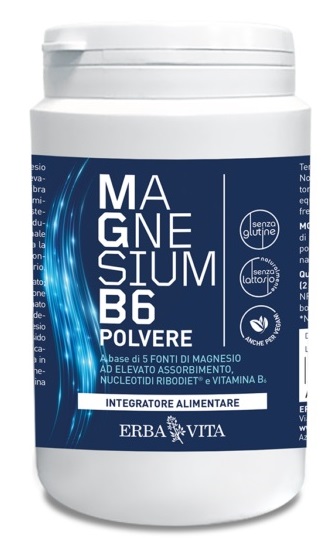 979323019-MAGNESIUM B6 POLV 200G EBV