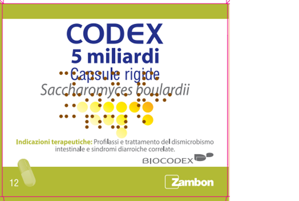 029032075-CODEX*12 capsule 5mld 250mg}