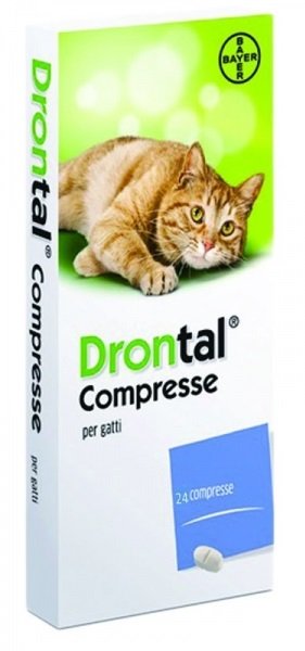 100315050-DRONTAL-GATTO 24CPR