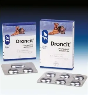 100388014-DRONCIT X 2 CPR VET