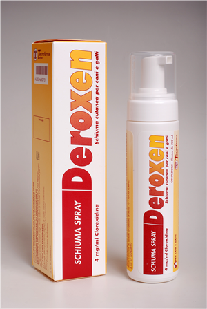 102468093-DEROXEN SCHIUMA SPRAY*200 ML