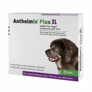 104844016-ANTHELMIN PLUS XL 2CPR VET
