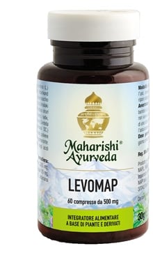 906565268-LEVOMAP 60TAV 30G