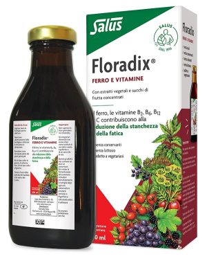 906706041-FLORADIX-INTEG FERRO 500ML