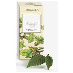 921563300-RIBES NIGRUM GEMME GD BIO