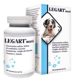 931543639-LEGART MAXI 60CPR 2G VET