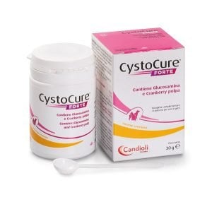 938398512-CYSTOCURE FORTE 30G