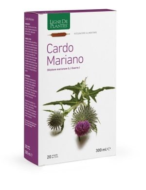 939911273-CARDO MARIANO 20AB 15ML<