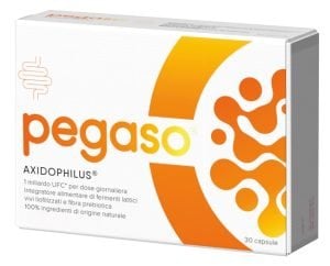 940378336-PEGASO PIGRO 30CP