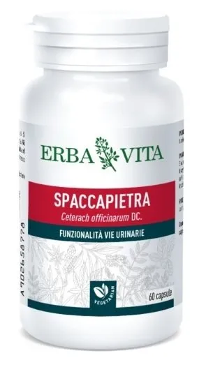 978597565-SPACCAPIETRA 60CPS