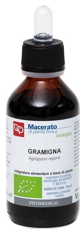 984788238-GRAMIGNA TM BIO 100ML
