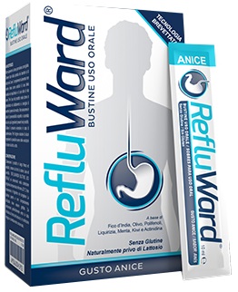 936004593-REFLUWARD 20STICK ANICE 200ML