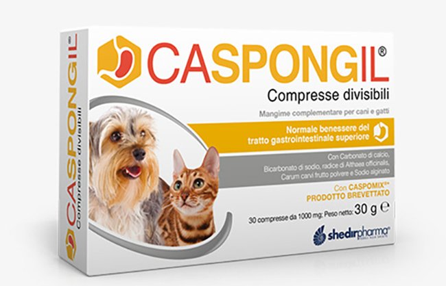 943809653-CASPONGIL 30CPR DIVIS VET