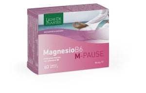 943838108-MAGNESIO B6 M-PAUSE 60CPS