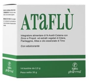 978691451-ATAFLU'14BUST